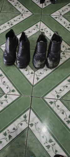 Bota