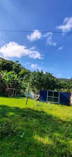 Container
