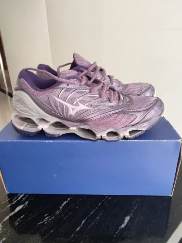 Mizuno prophecy 8
