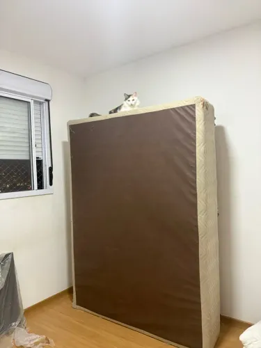 Base de cama box