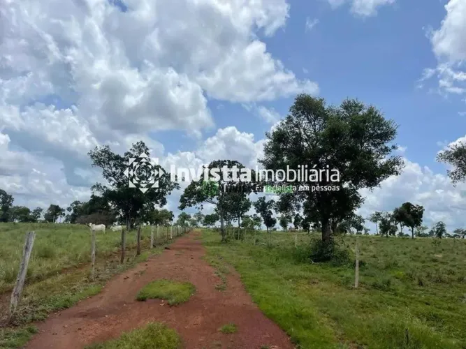 Fazenda de 117 alqueires com topografia plana em Divinópolis
