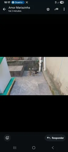 Paturir do mato