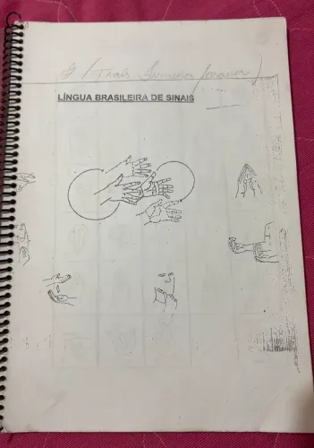 livro da linguagem brasileira de sinais (libras)
