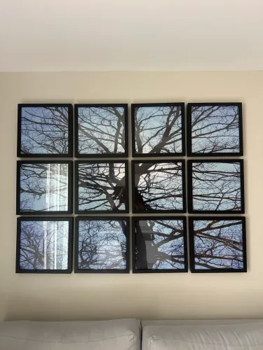 Vendo conjunto de quadros 
