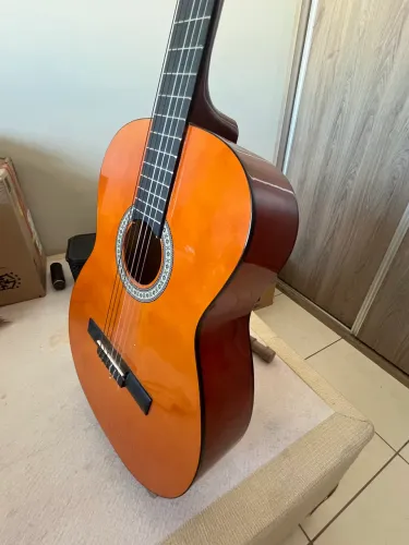 Violão Giannini