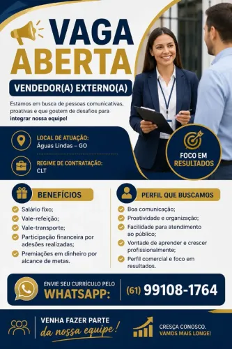 Vendedor Externo