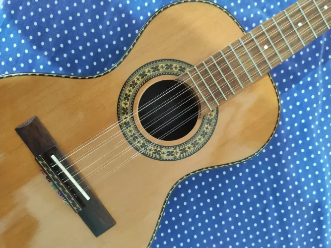 Viola Caipira Cinturada Acústica Rozini - Presença Brasil