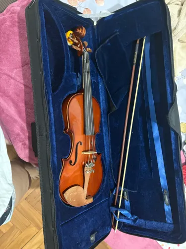 Violino