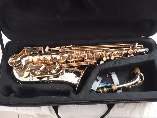 Saxofone alto 