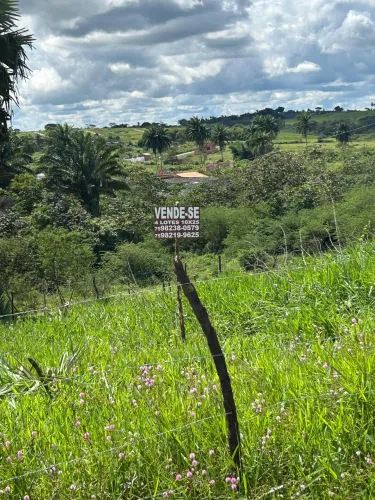 Lotes 10 x 25 em berimbau Conceição do jacuipe