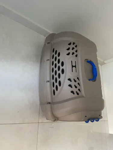 Caixa para transporte cachorro ou gato