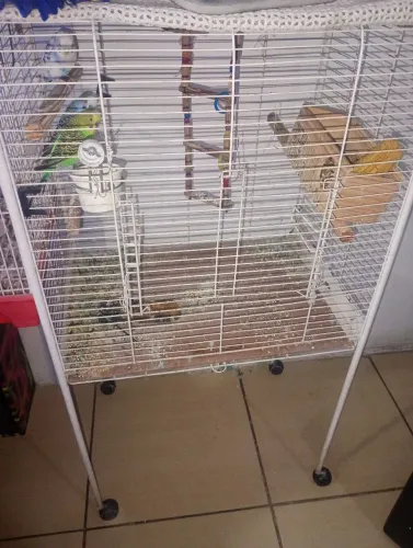 Gaiolas