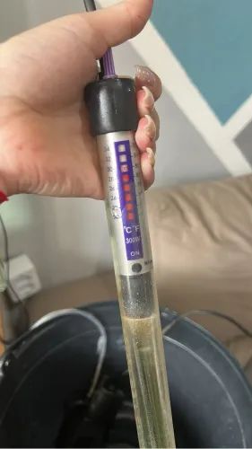 Termostato para aquário 