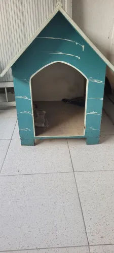 Casa para pet