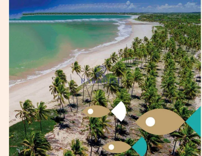 Terreno, Praia do Forte, Mata de São João - R$ 2.29 mi, Cod: 68643