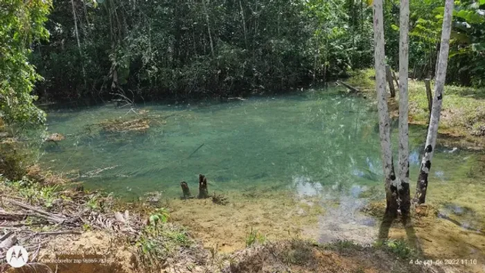 27 hectares por 350mil há 60 km de Belém