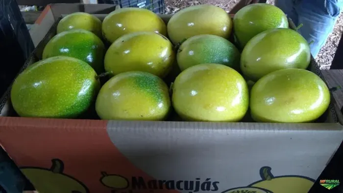 Caixa de maracujá 10 kg