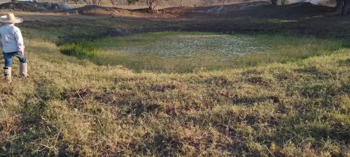 Excelente área de terra de 100t, no capim, riacho e aguada Jaguara/Feira