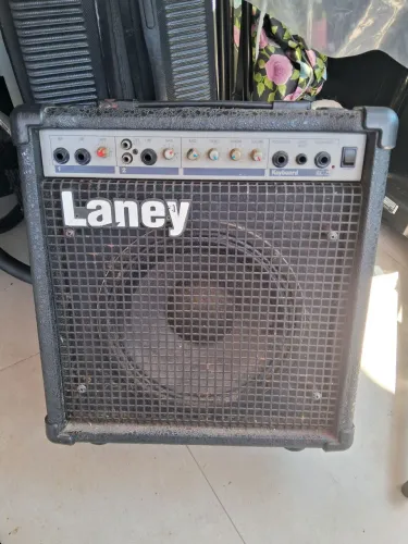 LANEY 25W