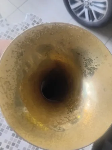 Trompete dolphin dourado é pegar e tocar
