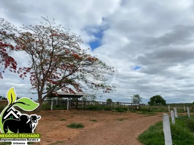 chacara ipameri goias codigo: 153554
