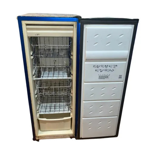 Freezer vertical