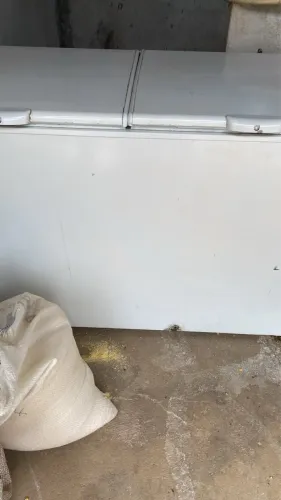 Freezer horizontal