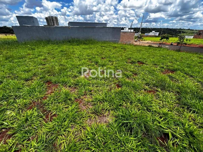 Terreno à venda, Loteamento Portal do Vale II - Uberlândia/MG - Rotina Imobiliária