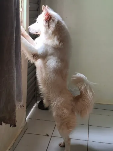 Doação