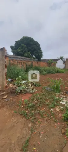 Terreno para venda no Bairro Segismundo Pereira