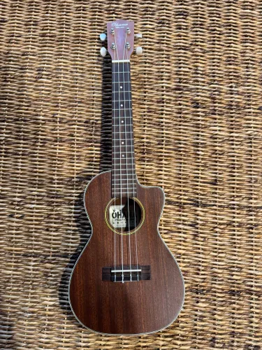 ukulele ck-20e