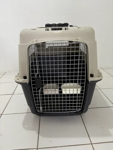 Caixa de Transporte para Cães - C 90 x L 60 x A 68