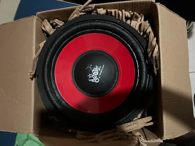 ALTO FALANTE AUTOMOTIVO BEATS 200W RMS 12 POL