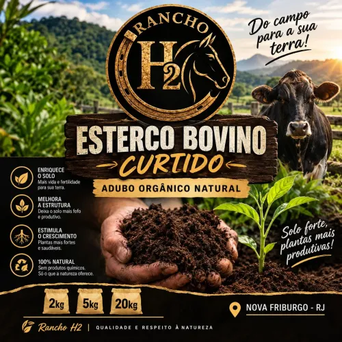 ESTERCO BOVINO