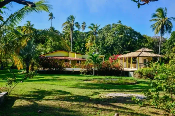 Sitio para aluguel