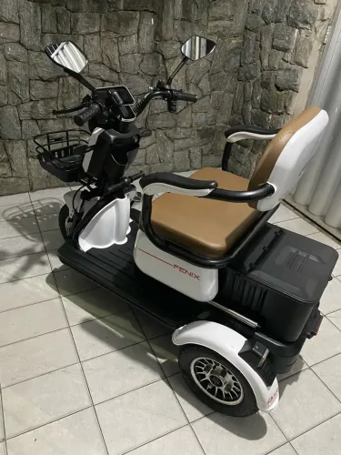 Triciclo fenix 750w