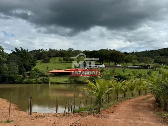 Chácara 5 Alqueires (24,2 hectares) Abadiânia - GO