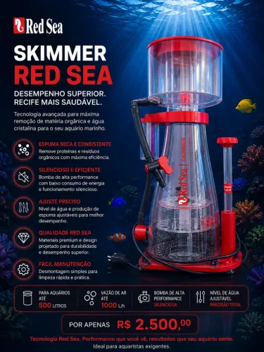 Skimmer Red Sea