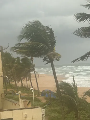 Diarista pra fazer dia todos fim de semana é feriado