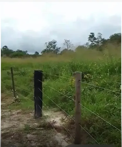 Fazenda