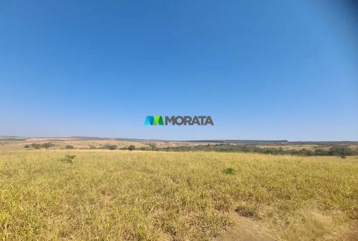 FAZENDA À VENDA - 110 HECTARES - ABAETÉ (MG)
