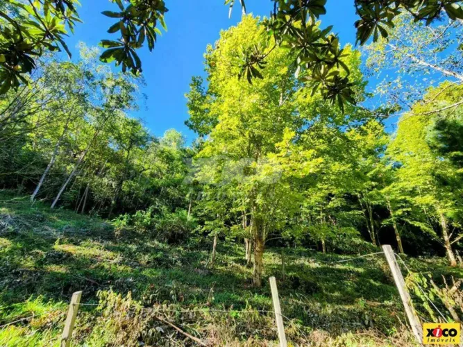 SÍTIO / CHÁCARA PARA VENDA EM NOVA PETRÓPOLIS / RS NO BAIRRO LINHA PIRAJÁ BAIXA