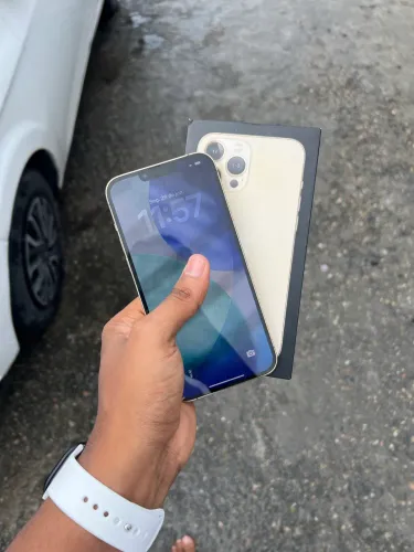 iPhone 13 Pro Max 256Gb