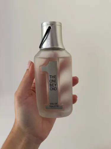 Perfume Linn Young The One Bey Ond 100ml Masculino Cítrico Amadeirado