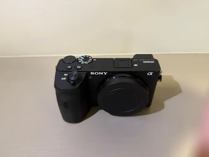 Sony A6600