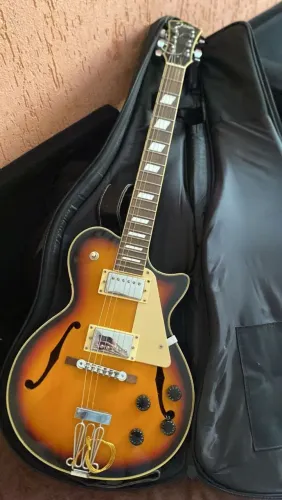 Guitarra Johnson delta 