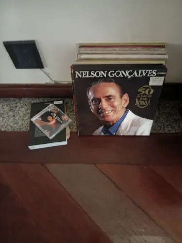 LPs de diversos cantores da MPB