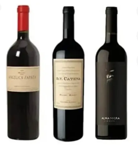 Vinhos argentinos 