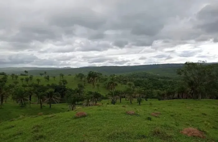 Fazenda de 41 alqueires em Iporá - Terra de cultura - Beira de Rio