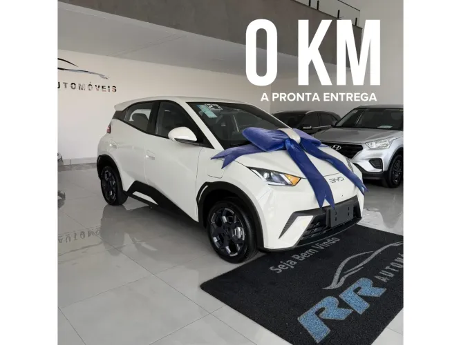 BYD Dolphin Mini (Elétrico) 2027